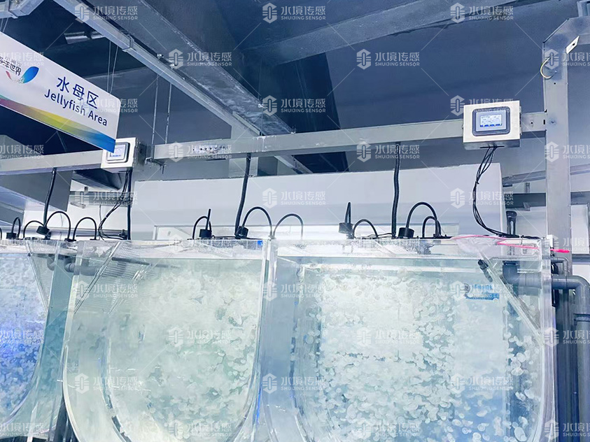 水境传感 某海洋馆安装水质在线监测站成功