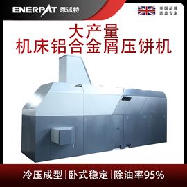 BM-12531恩派特大產量機床鋁合金屑壓餅機