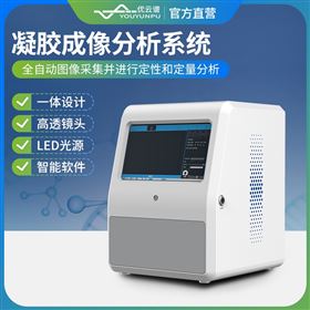 YP-NJ200凝膠成像分析系統(tǒng)