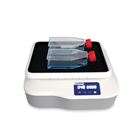 SCI-O180-S数显圆周摇床