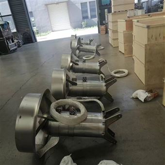 QFJ厌氧池浮筒潜水芭乐视频APP黄