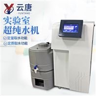 YT-CD100L凈化水設備