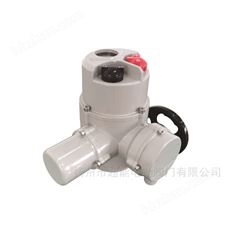 智能型阀门电动装置