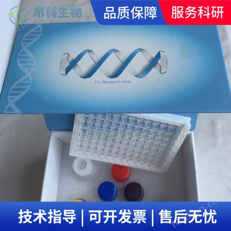 糖原含量測試盒可見分光光度法