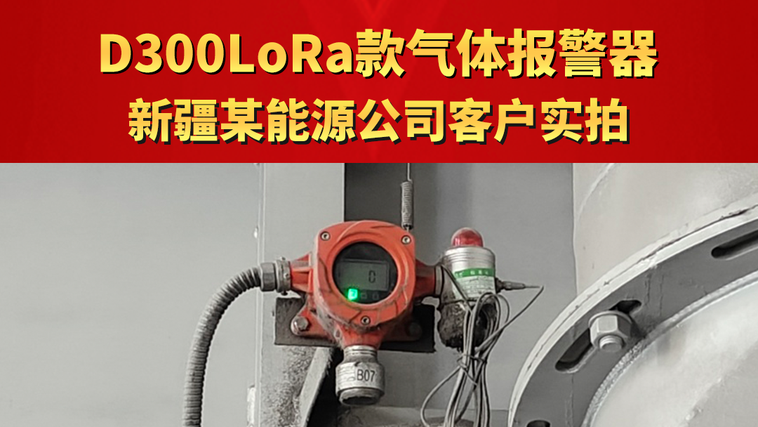 D300LoRa款气体报警器新疆某能源公司客户实拍