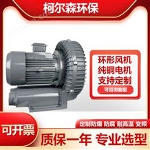 RB-750環(huán)形高壓鼓風機抽真空吹吸兩用旋渦風機