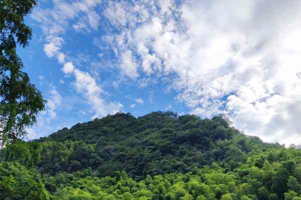 生態(tài)環(huán)境部發(fā)布7月下半月全國空氣質(zhì)量預(yù)報(bào)會(huì)商結(jié)果