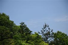 空地協(xié)同偵查！這地的環(huán)境監(jiān)管再添“新兵”