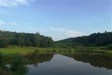 亳州市蒙城縣“四措并舉” 守護農(nóng)村水清岸綠