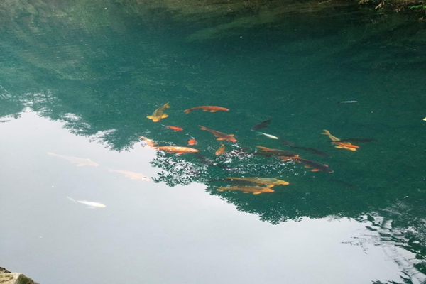 重慶市奉節(jié)縣大壩村農(nóng)村生活污水資源化利用典型案例