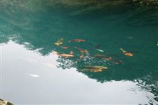 重慶市奉節(jié)縣大壩村農(nóng)村生活污水資源化利用典型案例