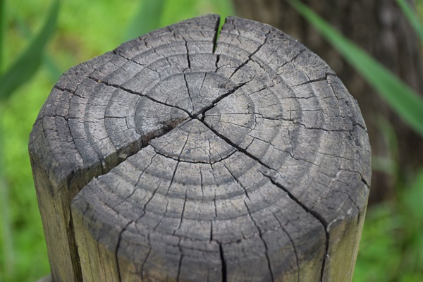 20項(xiàng)標(biāo)準(zhǔn)集結(jié)，定義十五五土壤治理與生態(tài)修復(fù)未來！