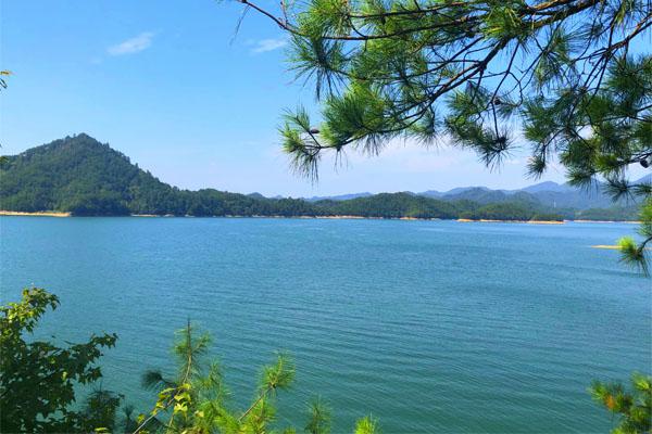 地方國企＋“中”字頭聯(lián)合拿下！安徽長豐縣10億EOD項目開標