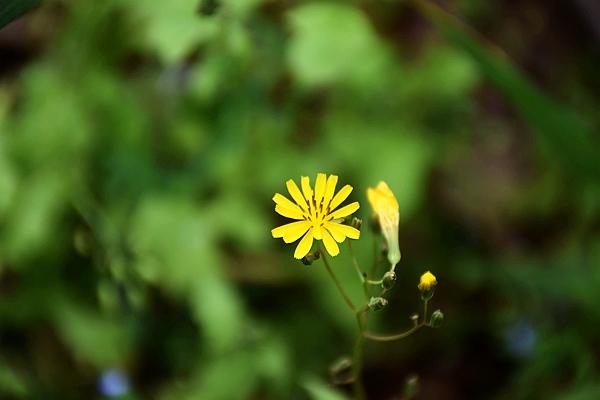 工業(yè)和信息化部辦公廳 中國人民銀行辦公廳聯(lián)合印發(fā)《關(guān)于用好綠色金融政策支持綠色工廠建設(shè)的通知》！