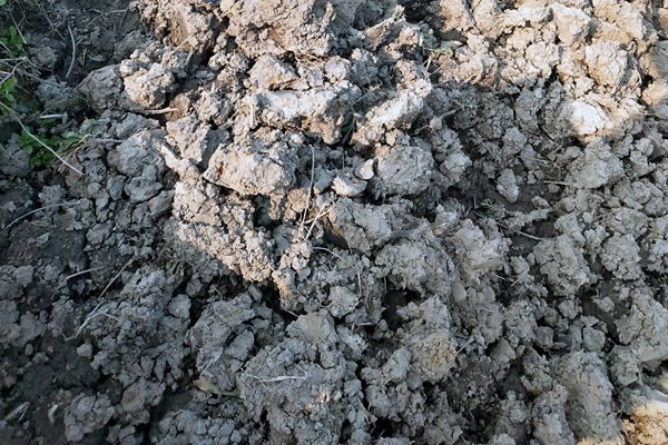 9552.6萬(wàn)！永清環(huán)保預(yù)中標(biāo)湖南土壤污染治理項(xiàng)目