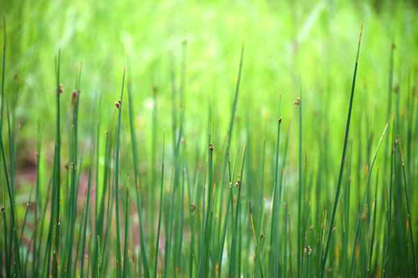 中國代表團出席第七屆聯(lián)合國環(huán)境大會