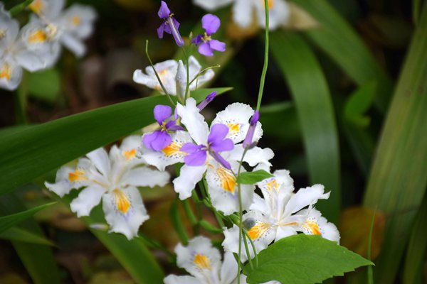 《國家鼓勵發(fā)展的重大環(huán)保技術(shù)裝備目錄（2025年版）》發(fā)布！