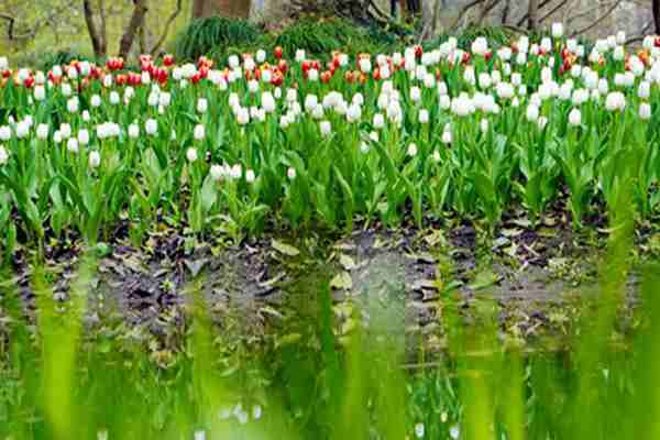 江蘇省首個(gè)特許經(jīng)營(yíng)大型污水處理項(xiàng)目正式簽約