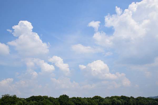 生態(tài)環(huán)境部發(fā)布2026年1月下半月全國(guó)空氣質(zhì)量預(yù)報(bào)會(huì)商結(jié)果