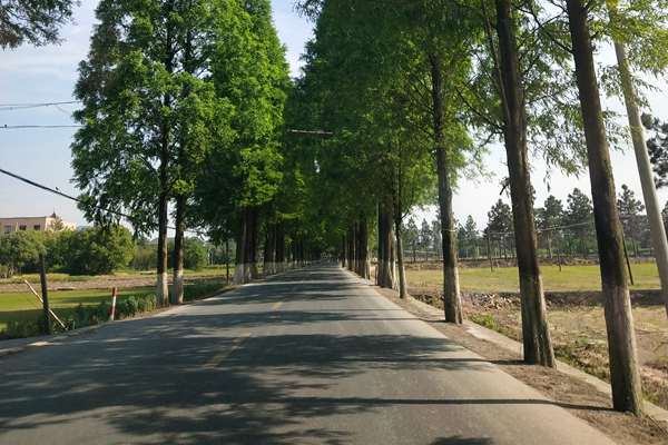 淮北市精準(zhǔn)打擊黑加油點(diǎn)全力護(hù)航藍(lán)天保衛(wèi)戰(zhàn)