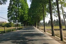 淮北市精準打擊黑加油點全力護航藍天保衛(wèi)戰(zhàn)