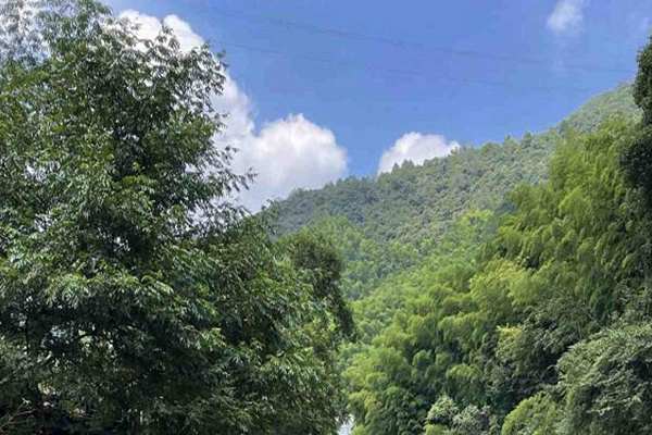 宿州市：生态执法筑屏障 砥砺攻坚促提升