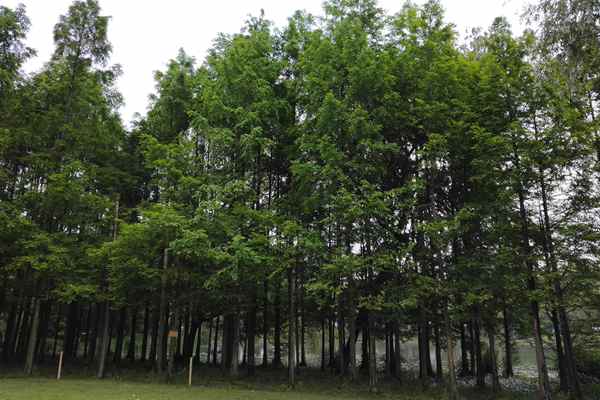 國家生態(tài)環(huán)境質(zhì)量標準《環(huán)境空氣質(zhì)量標準》發(fā)布，3月1日起實施