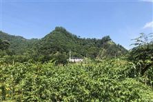 2026年大氣環(huán)境管理高級(jí)研修班舉辦