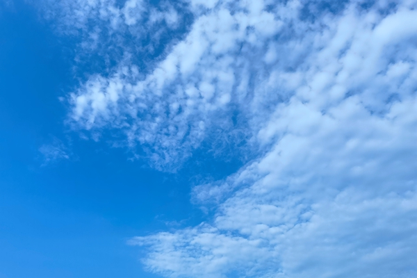 2218万!广东南大环保预中标湖南良田水泥石灰石-石膏湿法脱硫工程总承包