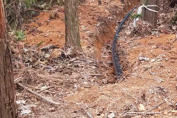 廣東省2026年第三批4個(gè)全域土地綜合整治實(shí)施方案獲省級(jí)批復(fù)