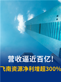 占比99.59%！飞南资源核心业务半年狂揽99.4亿