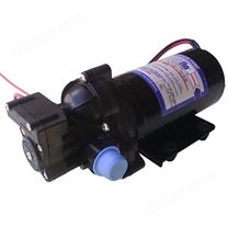 24V壓路機(jī)噴水泵2088-573-534隔膜泵Shurflo