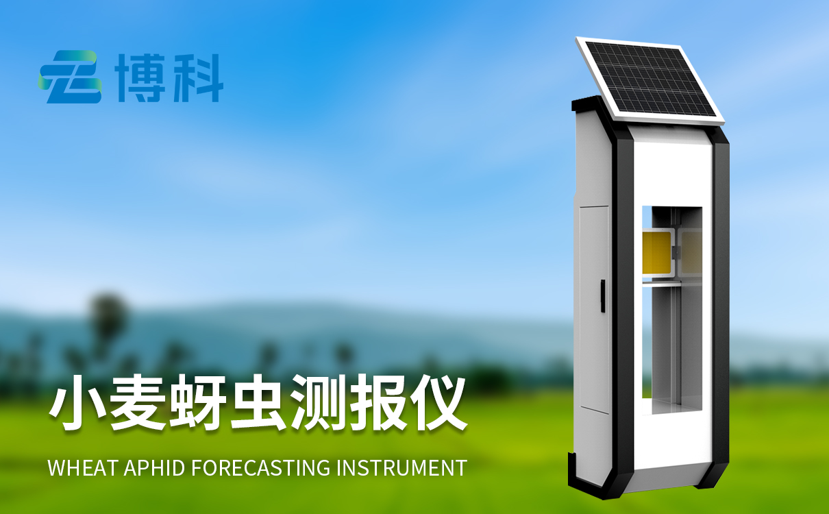 小麥蚜蟲在線監測系統