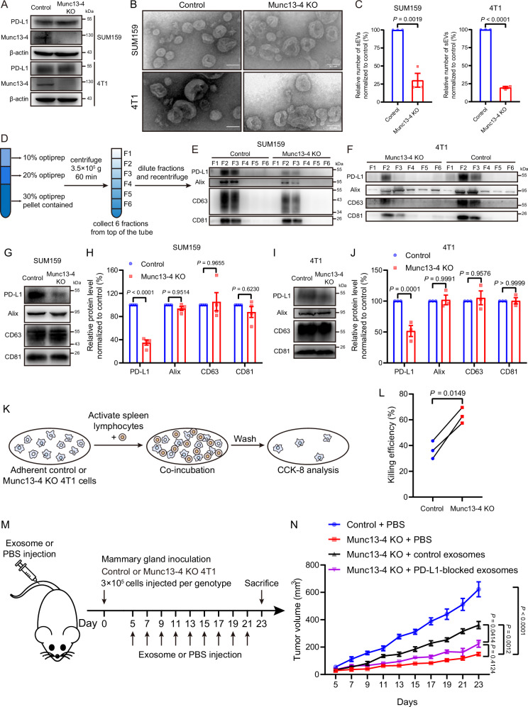 6389673028173362541708537