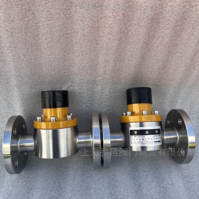 RXBF-S25/1.0-F背压阀