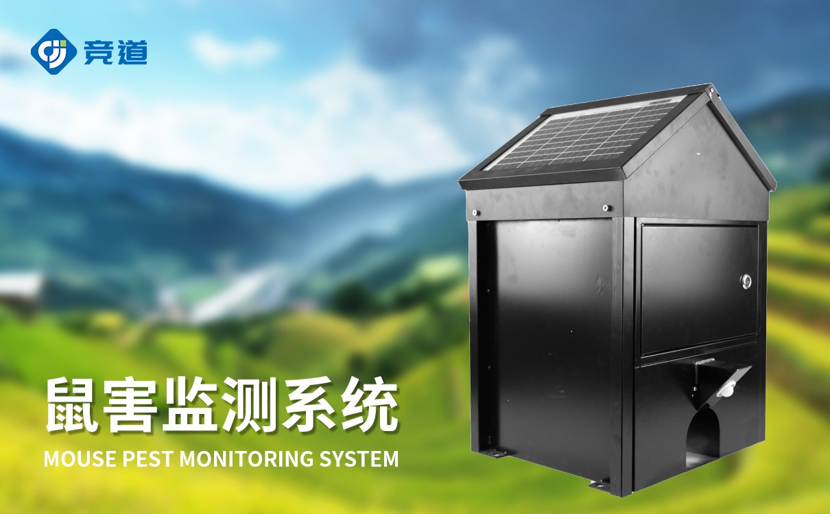 鼠情监测设备
