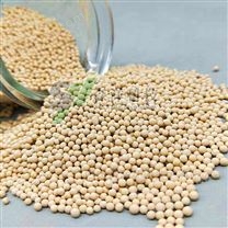 催化活性炭 廢氣處理 污水處理