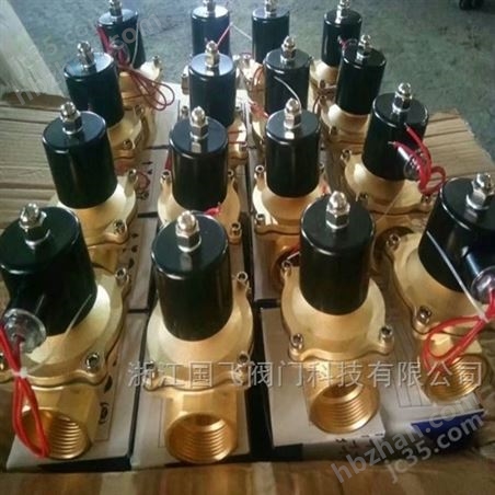 ZQDF丝扣电 磁阀
